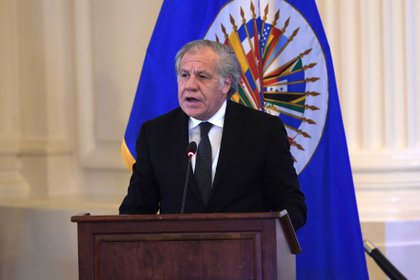 En la imagen, el secretario general de la Organización de Estados Americanos (OEA), el uruguayo Luis Almagro. EFE/Lenin Nolly/Archivo