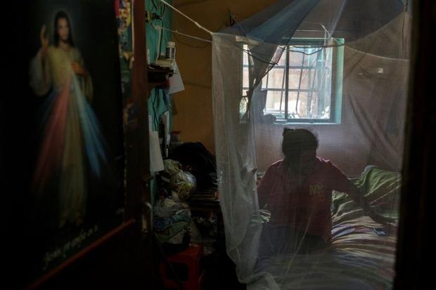 Mosquito nets handed out in places like Barcelona Venezuela to protect people from disease-carrying...