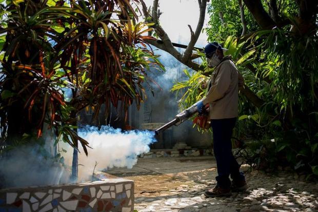 Fumigation which kills mosquitoes and their larvae is also an effective preventive measure agains...